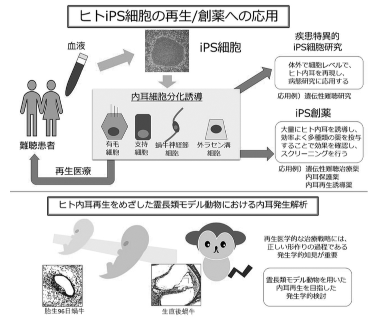 第120回 日本耳鼻咽喉科学会総会 学術講演会